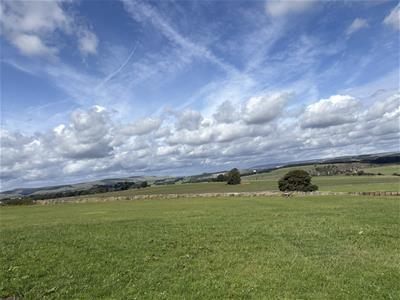 Picture 26
